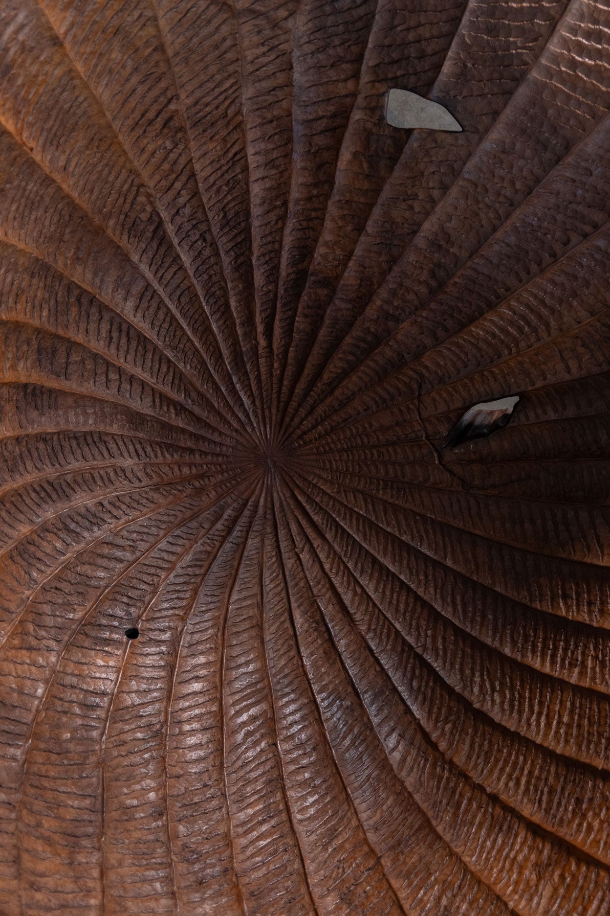 Cinta Lotus Sculpture